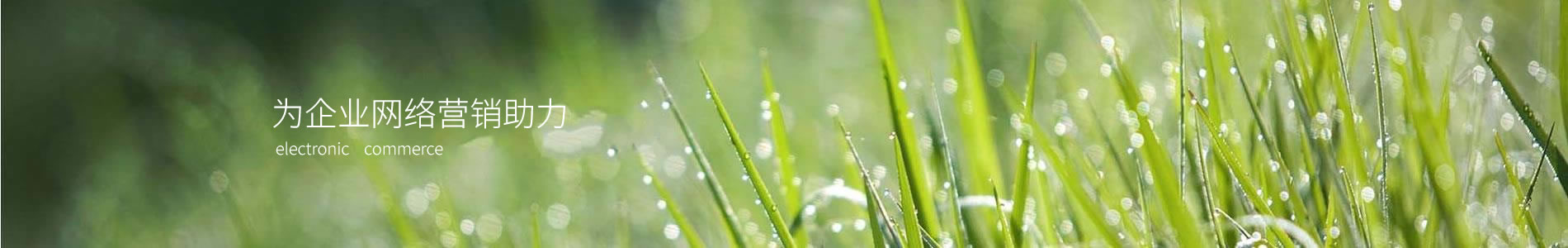 ݺ÷޹˾